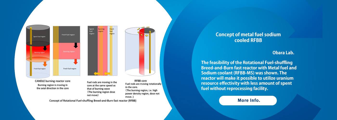 Concept of metal fuel sodium cooled RFBB