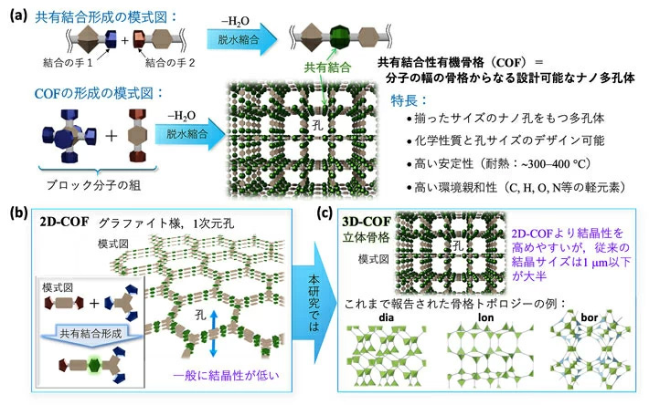 図1. （a）共有結合形成の模式図、COF形成の模式図、およびCOFの特長、（b）二次元COF（2D-COF）の模式図、（c）三次元COF（3D-COF）の模式図。