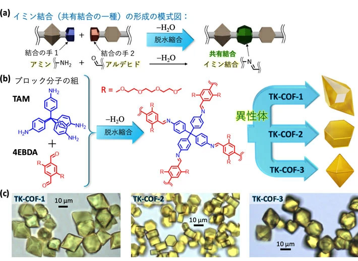 図2. 本成果で発見された三重異性体のCOF。（a）イミン結合形成の模式図。（b）使用したブロック分子の組（“R”はポリエチレングリコール鎖）、およびそれらから生成された異性体TK-COF-1、TK-COF-2、TK-COF-3の結晶の模式図。（c）TK-COF-1、TK-COF-2、TK-COF-3の光学顕微鏡写真。