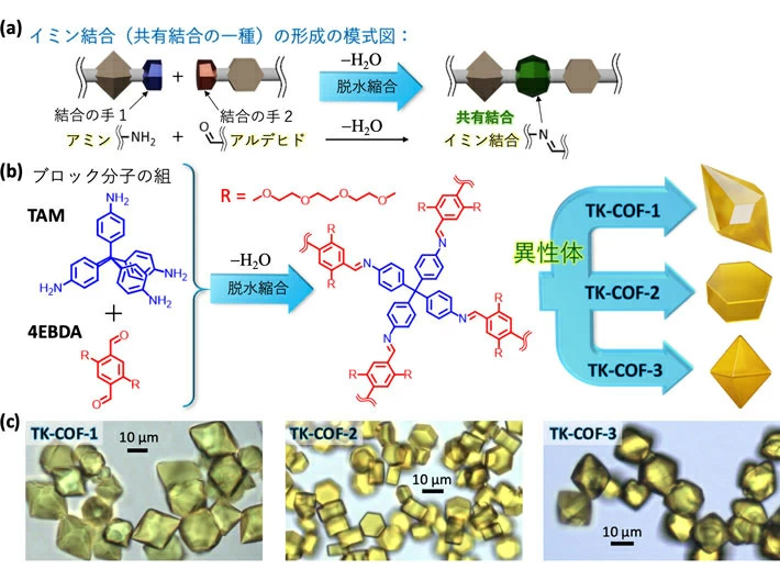 図2. 本成果で発見された三重異性体のCOF。（a）イミン結合形成の模式図。（b）使用したブロック分子の組（“R”はポリエチレングリコール鎖）、およびそれらから生成された異性体TK-COF-1、TK-COF-2、TK-COF-3の結晶の模式図。（c）TK-COF-1、TK-COF-2、TK-COF-3の光学顕微鏡写真。